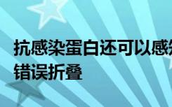 抗感染蛋白还可以感知非感染细胞中的蛋白质错误折叠