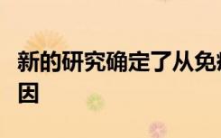 新的研究确定了从免疫疗法中隐藏癌细胞的基因