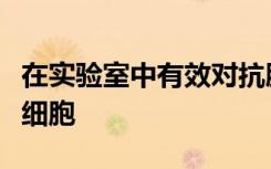 在实验室中有效对抗胰腺癌细胞的可转换杀伤细胞