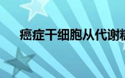 癌症干细胞从代谢糖转变为代谢氨基酸