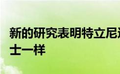 新的研究表明特立尼达孔雀鱼的行为就像斗牛士一样