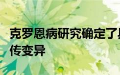 克罗恩病研究确定了具有个性化治疗潜力的遗传变异