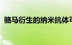 骆马衍生的纳米抗体可用于治疗难治性疾病