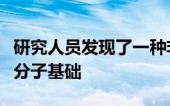 研究人员发现了一种非洲民间药物治疗作用的分子基础