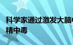 科学家通过激发大脑中的激光来逆转老鼠的酒精中毒