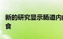 新的研究显示肠道内的癌症肿瘤以含糖饮料为食