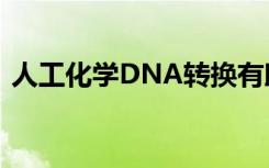 人工化学DNA转换有助于了解表观遗传机制