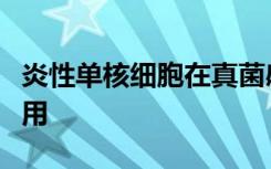 炎性单核细胞在真菌感染中起着相互矛盾的作用