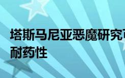 塔斯马尼亚恶魔研究可能有助于解决免疫疗法耐药性