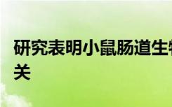 研究表明小鼠肠道生物群系与肠道生理节律有关