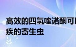 高效的四氢喹诺酮可以消除引起弓形虫病和疟疾的寄生虫