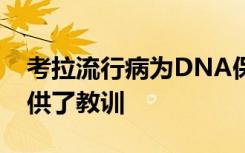 考拉流行病为DNA保护自身免受病毒侵害提供了教训