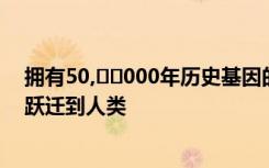 拥有50,​​000年历史基因的复活揭示了疟疾如何从大猩猩跃迁到人类