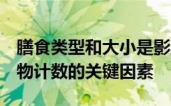 膳食类型和大小是影响1型糖尿病中碳水化合物计数的关键因素