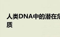 人类DNA中的潜在危险基因曾被称为异染色质