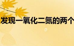 发现一氧化二氮的两个重要产物之间的新联系