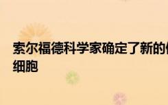 索尔福德科学家确定了新的候选药物来饿死和窒息乳腺癌干细胞