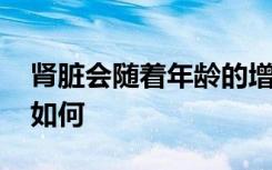 肾脏会随着年龄的增长而恶化 无论健康状况如何