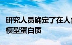 研究人员确定了在人类疾病研究中重要的动物模型蛋白质