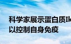 科学家展示蛋白质Ikaros如何协调精细平衡以控制自身免疫