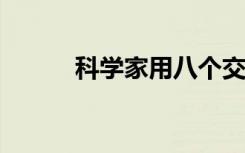 科学家用八个交叉点产生分子结