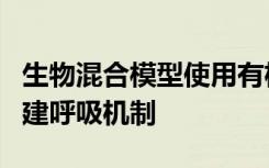 生物混合模型使用有机肺与合成肌肉来重新创建呼吸机制