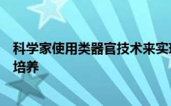 科学家使用类器官技术来实现小鼠尿路上皮细胞的长期稳定培养