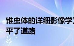 锥虫体的详细影像学为抗击昏睡病的新机会铺平了道路