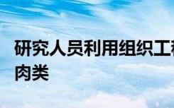 研究人员利用组织工程技术创造实验室生长的肉类