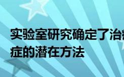 实验室研究确定了治疗ARID1A突变的人类癌症的潜在方法