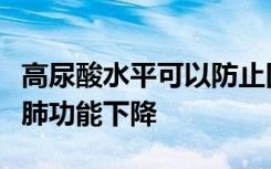 高尿酸水平可以防止因年龄或肺部疾病而导致肺功能下降