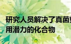 研究人员解决了真菌如何产生具有潜在药物应用潜力的化合物