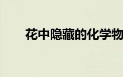 花中隐藏的化学物质可以杀死癌细胞