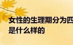 女性的生理期分为四个阶段 具体的调理对策是什么样的