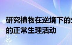 研究植物在逆境下的生理反应有助于了解植物的正常生理活动