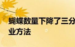 蝴蝶数量下降了三分之二 科学家呼吁改变农业方法