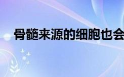 骨髓来源的细胞也会进入子宫以帮助怀孕