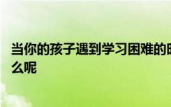 当你的孩子遇到学习困难的时候 你给他提供的有效帮助是什么呢