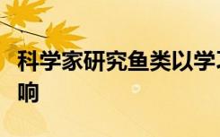 科学家研究鱼类以学习如何适应气候变化的影响