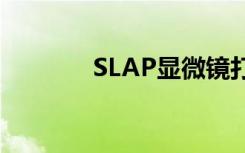 SLAP显微镜打破了速度记录