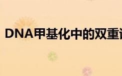 DNA甲基化中的双重试剂可预防灾难性癌症