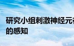 研究小组刺激神经元在小鼠的脑海中引发特定的感知