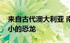 来自古代澳大利亚 南极裂谷的新型小袋鼠大小的恐龙