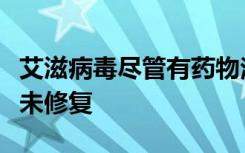 艾滋病毒尽管有药物治疗但免疫系统中的孔仍未修复