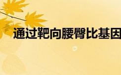 通过靶向腰臀比基因进展脂肪分布遗传学