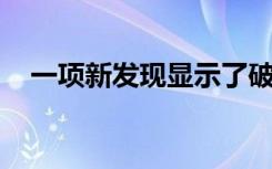 一项新发现显示了破坏癌症干细胞的潜力