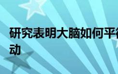 研究表明大脑如何平衡感觉信息来控制肌肉运动