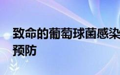 致命的葡萄球菌感染进展缓慢 CDC呼吁加强预防