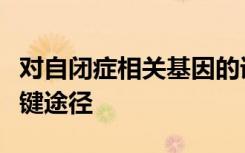 对自闭症相关基因的详细分析发现其参与了关键途径