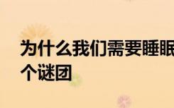 为什么我们需要睡眠 以色列科学家解开了这个谜团